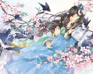 大象传媒在线入口